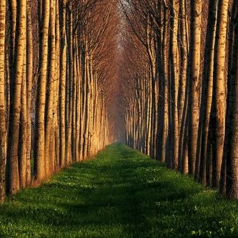 Profile Picture of Dennis Newton (@dennisnewton96) on Twitter