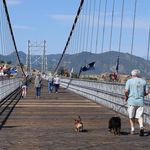 Profile Picture of Tony Slone (@slonetony) on Instagram