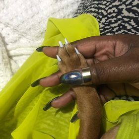 Profile Picture of Charity Knight (@charity_knight) on Pinterest