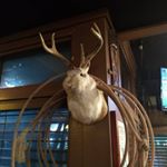 Profile Picture of justin minter (@crexus87) on Instagram