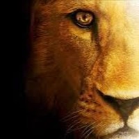 Profile Picture of Leo Giron (@leo-giron-5) on Quora