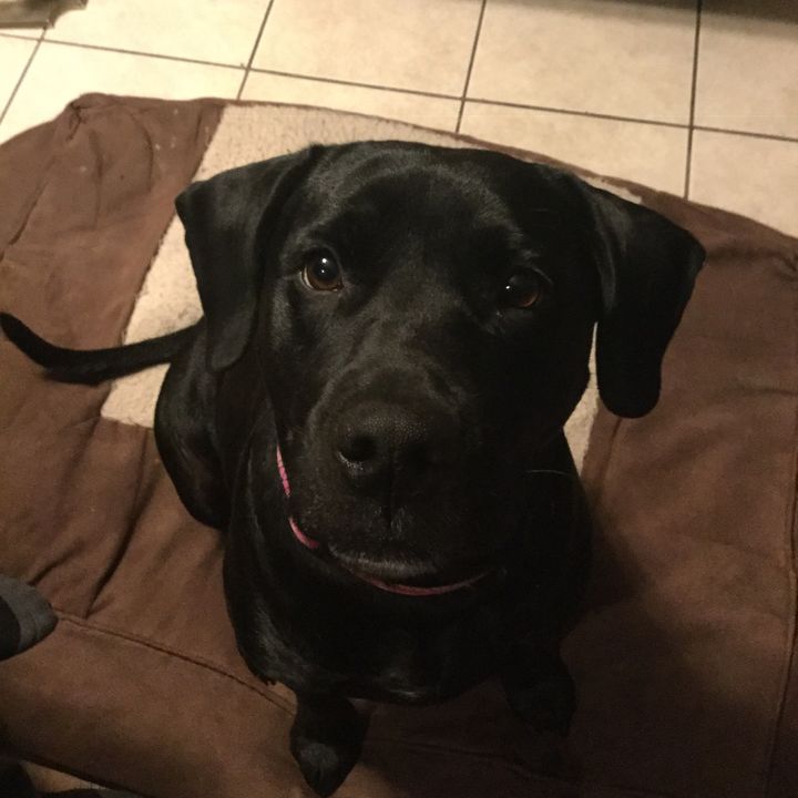 Profile Picture of Zachary Rolfes (@milkshake102606) on Tiktok