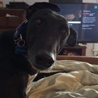 Profile Picture of Megan Laurent (@megan-laurent-2) on Quora