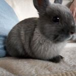 Profile Picture of Adam Bělský (@adam.belsky.75) on Instagram