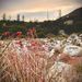 Profile Picture of Alexia Knickerbocker (@alexiabee16) on Pinterest