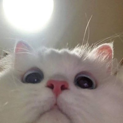 Profile Picture of E M ☆ (@emily_johns0n) on Twitter