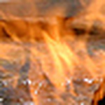 Profile Picture of stevendpclark (@stevendpclark) on Flickr