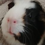 Profile Picture of Rae Wagner (@daealis23) on Instagram