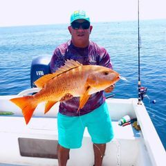 Profile Picture of Daniel Rawlins (@daniel.rawlins5) on Tiktok