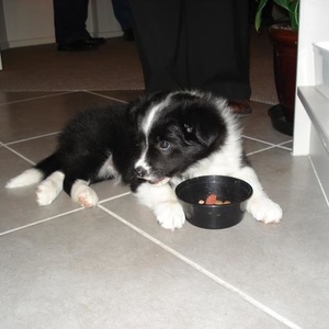 Kerry Logan - Myspace Profile Picture of Kerry Logan (@ker_ry) on Myspace