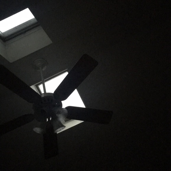 Profile Picture of Erica Daidone (@edaidone) on Poshmark