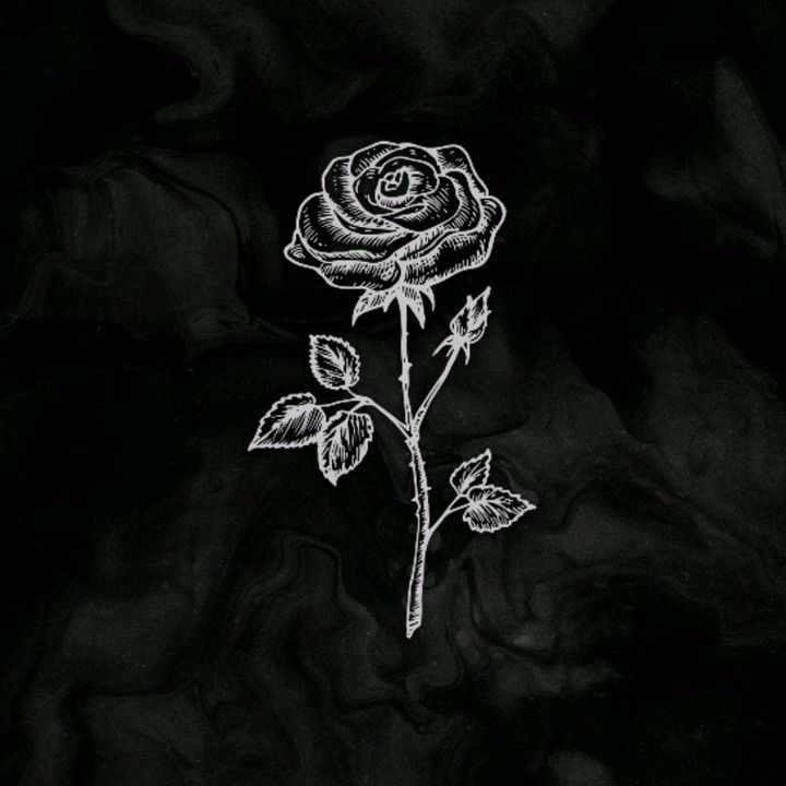 Profile Picture of NmC_Alan_GC (@alancito_vt15) on Tiktok