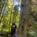 Profile Picture of Jacob Clemens (@jayykhem) on Instagram