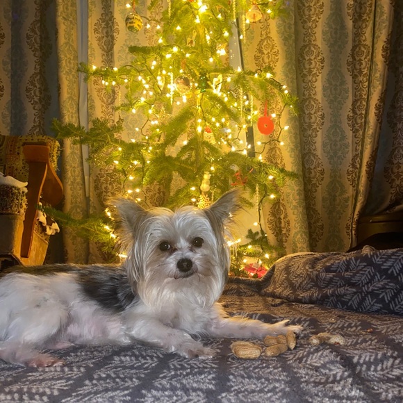 Profile Picture of Jorja Agnelli (@jorja130) on Poshmark