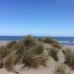 Profile Picture of Brian Krogmann (@bkrogs78) on Instagram