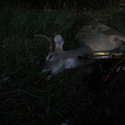 Profile Picture of Trevor Nicholson (@TrevorN07788736) on Twitter