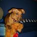 Profile Picture of Angel Meyer (@angel.meyer.3192) on Facebook