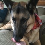 jonathan_gurley1234 - Instagram Profile Picture of jonathan_gurley1234 (@jonathan_gurley1234) on Instagram