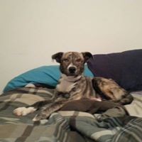 Profile Picture of Eli Citron (@eli-citron-2) on Quora