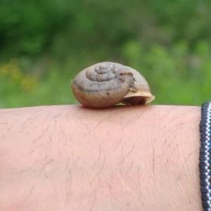 Profile Picture of Felipe Zavala (@wuzaaaa) on Myspace