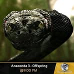 Profile Picture of Bennett Morweng (@bennett.morweng.16) on Facebook