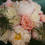 Profile Picture of Meadowbrook Photography (@meadowbrook photography) on Flickr