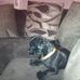 Profile Picture of Terry Pogue (@terry.pogue.75) on Facebook