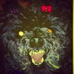 Profile Picture of Vicki Gammon (@awnryagnes) on Instagram