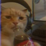 Profile Picture of James Layos (@jimjimlayos) on Facebook