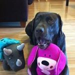 Profile Picture of Sheryl Newton (@newton_sheryl) on Instagram