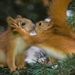 Profile Picture of Laurie Andersen-Holloway (@cleanlaurie) on Pinterest