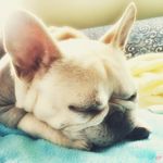 Profile Picture of Max·Jīǎng (@jiang_photo) on Instagram