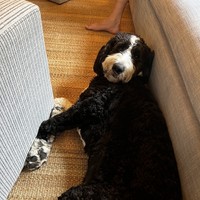 Profile Picture of David L  (@david-l-981) on Quora