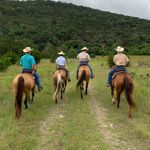 Profile Picture of Sean Lehane (@lehanes) on Instagram