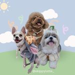 Profile Photo of SKIPPY, ROXANNE & LATTE (@skippylatte_) on Instagram