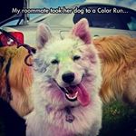 Profile Picture of Cole Nicholas (@quirky_23) on Instagram