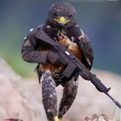 Profile Picture of Joseph Sepulveda (@josephsepulveda2750) on Youtube