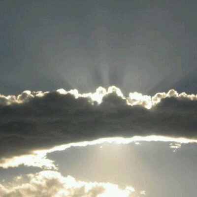 Profile Picture of Cindy Banks (@@Shewolf60404) on Twitter