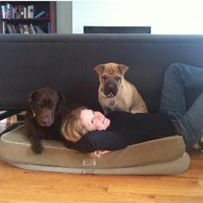 Profile Picture of Amy Feranec (@amyferanec) on Twitter