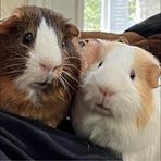 Profile Picture of Thomas M. Casazza (@thomas.m.casazza) on Facebook