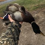 Profile Picture of Jon Seifert (@jon_seifert) on Instagram