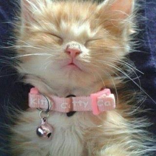 Profile Picture of Silvia Arvizu (@silvia.arvizu.73) on Facebook