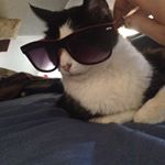 Profile Picture of Chris Santangelo (@colorado.six.five.thousand) on Instagram