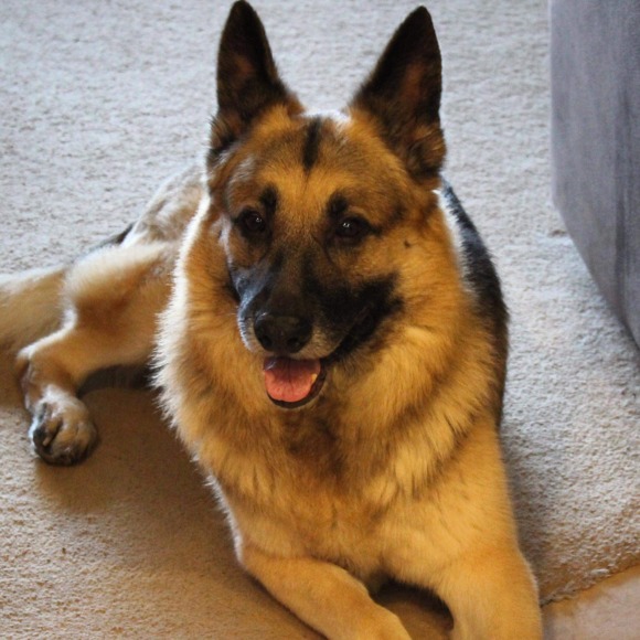 Profile Picture of Jennifer Shawley (@nemichick) on Poshmark