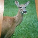 Profile Picture of chuck carlson (@chuckcarlson4) on Instagram