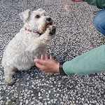 Profile Picture of Isbbs456 (@isbbs456) on Flickr