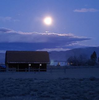 Jim N Tammi Newton - Facebook Profile Picture of Jim N Tammi Newton (@tammi.newton.5) on Facebook