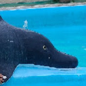 Profile Picture of Stan Liu (@stanliu4001) on Youtube