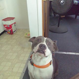 Profile Picture of Lawrence Padilla (@lawrence.padilla.7121) on Facebook