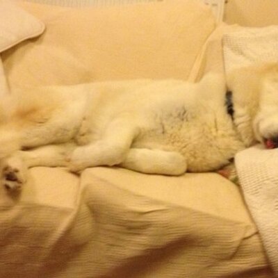 Profile Picture of Barry Williams (@baxterjwilliams) on Twitter